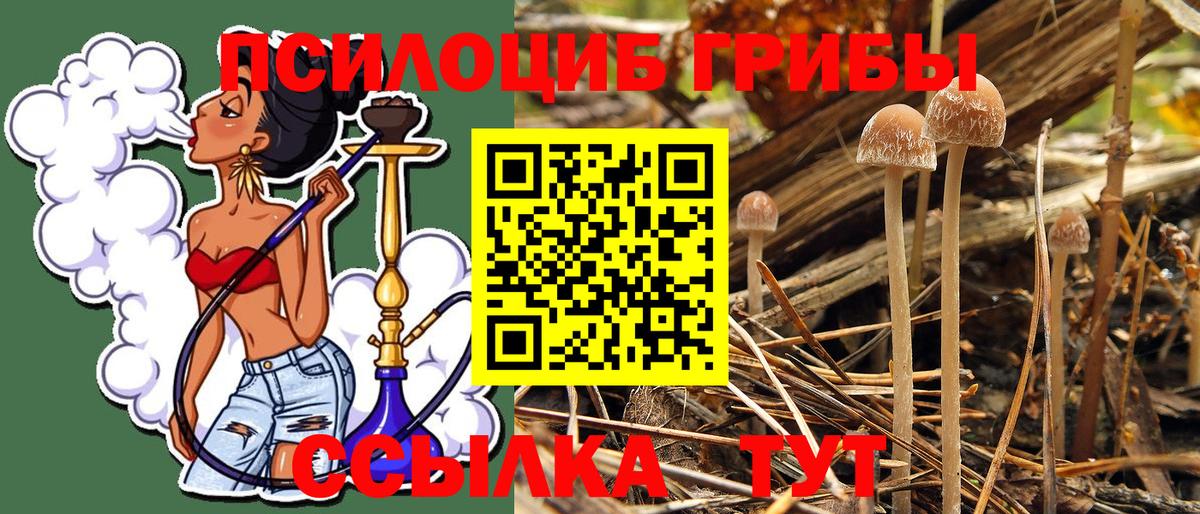 Псилоцибиновые грибы MAGIC MUSHROOMS Сергиев Посад