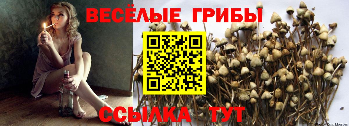 купить наркотик  Вход с VPN  Сергиев Посад  Галлюциногенные грибы GOLDEN TEACHER  Галлюциногенные грибы GOLDEN TEACHER 